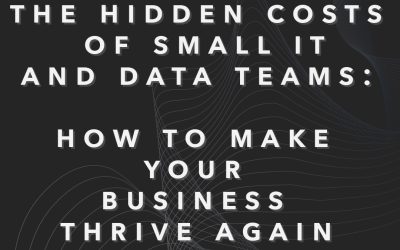 The Hidden Costs of Small IT and Data Teams